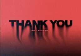 Dimitri Vegas & Like Mike & Tiësto & Dido & W&W – Thank You (Not So Bad)